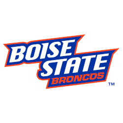 Boise State Broncos Wordmark Logo 2012 - 2013